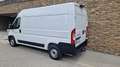 Fiat Ducato 35+ L2H2 BlueHDi 140 S&S Weiß - thumbnail 4