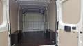 Fiat Ducato 35+ L2H2 BlueHDi 140 S&S Weiß - thumbnail 25