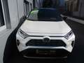 Toyota RAV4 RAV4 2.5 Style ACC+LED+Navi+SHZ+Winterp.+2xKlima Weiß - thumbnail 3
