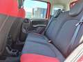 Fiat Panda 1.2 Easy 69cv Rosso - thumbnail 13