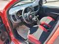 Fiat Panda 1.2 Easy 69cv Rosso - thumbnail 6