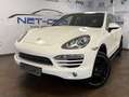 Porsche Cayenne S Aut. PANORAM*Leder*LUFTFAHR*NAVi*VOLL Weiß - thumbnail 13