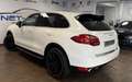 Porsche Cayenne S Aut. PANORAM*Leder*LUFTFAHR*NAVi*VOLL Weiß - thumbnail 11