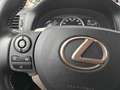 Lexus CT 200h Bns Line Pro Gris - thumbnail 12