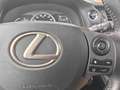 Lexus CT 200h Bns Line Pro Gris - thumbnail 14