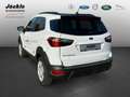 Ford EcoSport Active Blanc - thumbnail 5