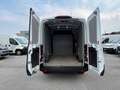 Ford Transit FORD L2H2 2.0TDCi EcoBlue MHEV 130CV Blanc - thumbnail 10