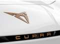 CUPRA Born Adrenaline 232pk 62 kWh · Camera · Alarmklasse 3 · Wit - thumbnail 38