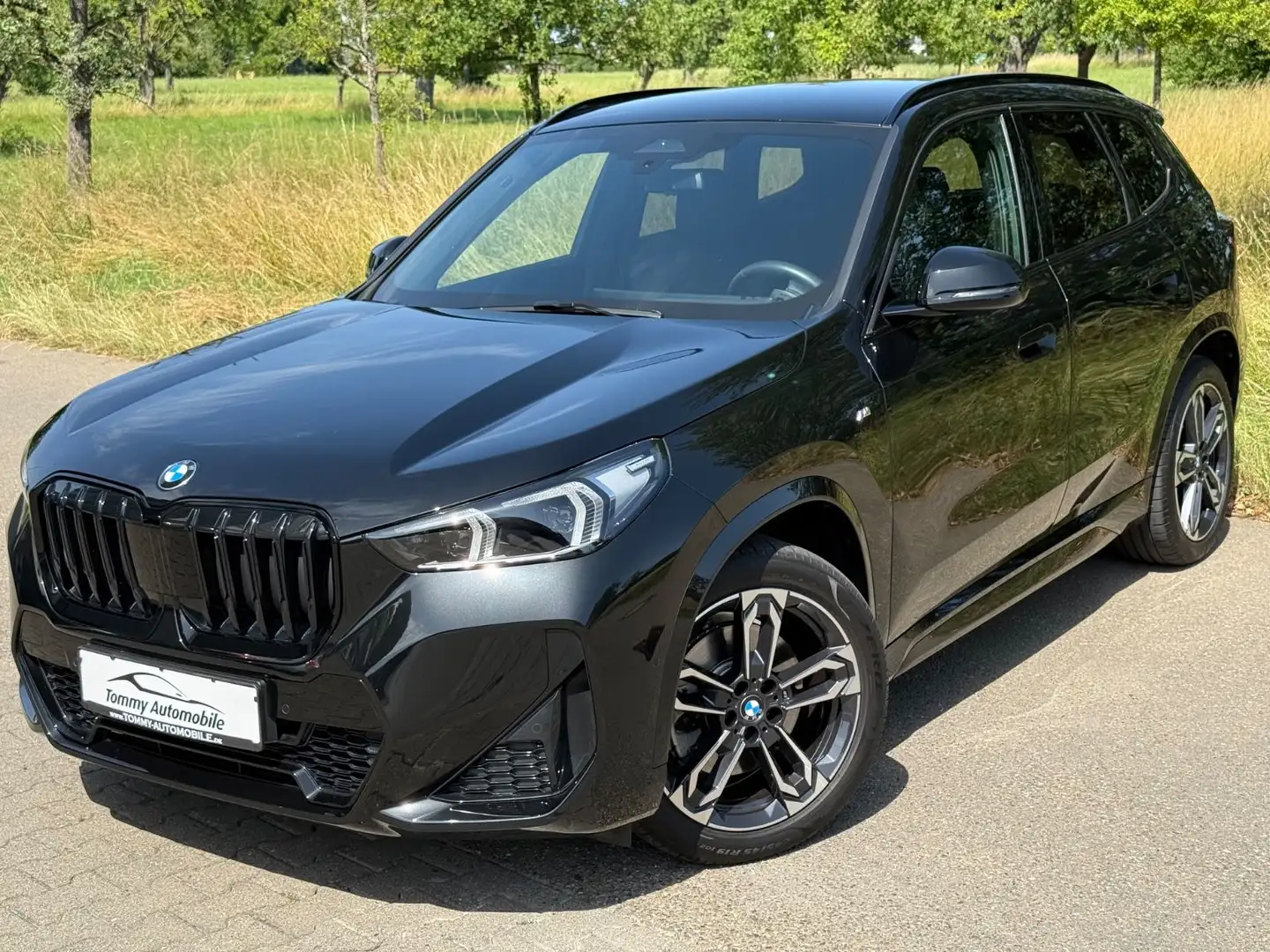 BMW X1 23 d xDrive M Sport LED Kamera Memory AHK 19" Schwarz - 1
