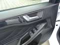 Ford Focus 1.5 Ecoblue ST-Line Automatik +Navi+Kamera+LED Blanc - thumbnail 10