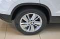 Skoda Karoq 2.0 TDI Selection AHK|RCam|SHZ|NAV|APP|ACC Weiß - thumbnail 18