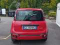 Fiat New Panda Panda 1.0 FireFly S&S Hybrid City Cross Rosso - thumbnail 4