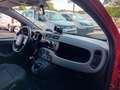 Fiat New Panda Panda 1.0 FireFly S&S Hybrid City Cross Rosso - thumbnail 12