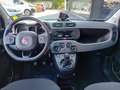 Fiat New Panda Panda 1.0 FireFly S&S Hybrid City Cross Rosso - thumbnail 9