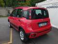 Fiat New Panda Panda 1.0 FireFly S&S Hybrid City Cross Rosso - thumbnail 5