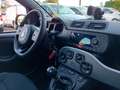 Fiat New Panda Panda 1.0 FireFly S&S Hybrid City Cross Rosso - thumbnail 13