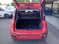 Fiat New Panda Panda 1.0 FireFly S&S Hybrid City Cross Rosso - thumbnail 6