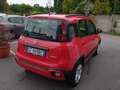 Fiat New Panda Panda 1.0 FireFly S&S Hybrid City Cross Rosso - thumbnail 3
