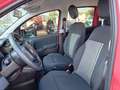 Fiat New Panda Panda 1.0 FireFly S&S Hybrid City Cross Rosso - thumbnail 8