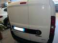 Fiat DOBLO CARGO METANO CH1 LOUNGE 1.4, 120cv E6D Blanc - thumbnail 5
