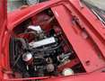 Fiat 1100 TV Spider FUORISERIE Vetture speciali Rot - thumbnail 14