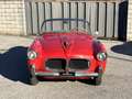 Fiat 1100 TV Spider FUORISERIE Vetture speciali Rot - thumbnail 3
