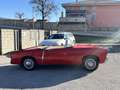 Fiat 1100 TV Spider FUORISERIE Vetture speciali Rot - thumbnail 6