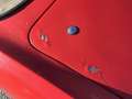 Fiat 1100 TV Spider FUORISERIE Vetture speciali Rot - thumbnail 17