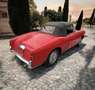 Fiat 1100 TV Spider FUORISERIE Vetture speciali Rot - thumbnail 11