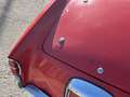 Fiat 1100 TV Spider FUORISERIE Vetture speciali Rot - thumbnail 20