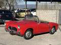 Fiat 1100 TV Spider FUORISERIE Vetture speciali Rot - thumbnail 2