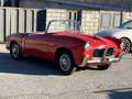 Fiat 1100 TV Spider FUORISERIE Vetture speciali Rot - thumbnail 4