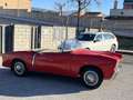 Fiat 1100 TV Spider FUORISERIE Vetture speciali Rot - thumbnail 5