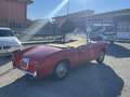 Fiat 1100 TV Spider FUORISERIE Vetture speciali Rot - thumbnail 7