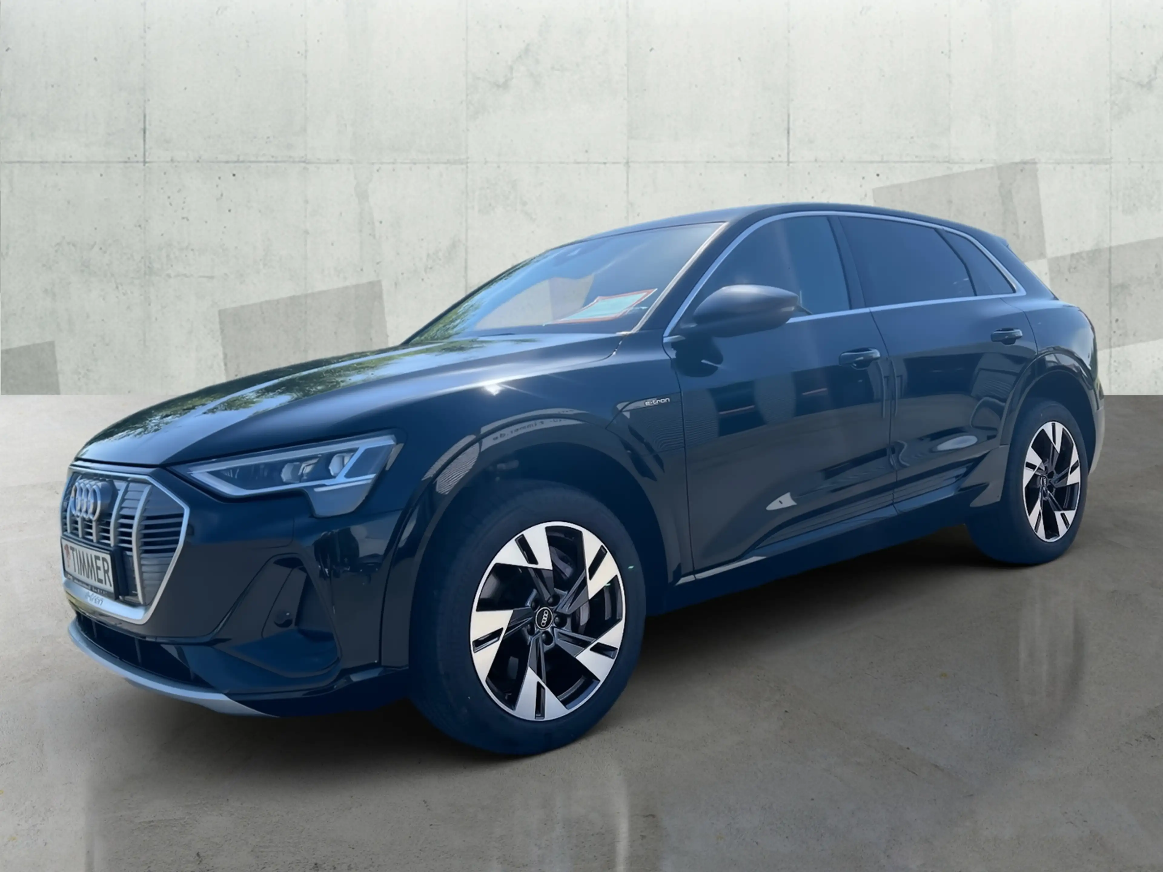 Audi e-tron 50 QUATTRO S-LINE 71 kWh AHK+LED +RKAM +VIRTUAL + — photo 3