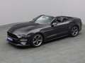 Ford Mustang GT Cabrio V8 California Special Gris - thumbnail 16