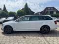 Skoda Octavia Combi RS 245 Aut. LED ACC Kamera AHK Nav Weiß - thumbnail 15