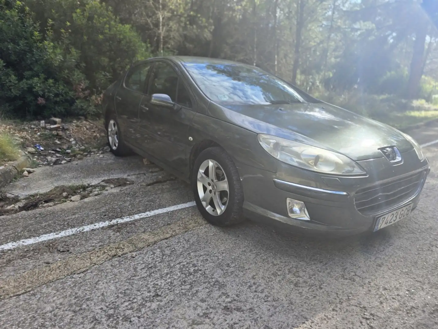 Peugeot 407 2.0HDI Premium Grün - 2