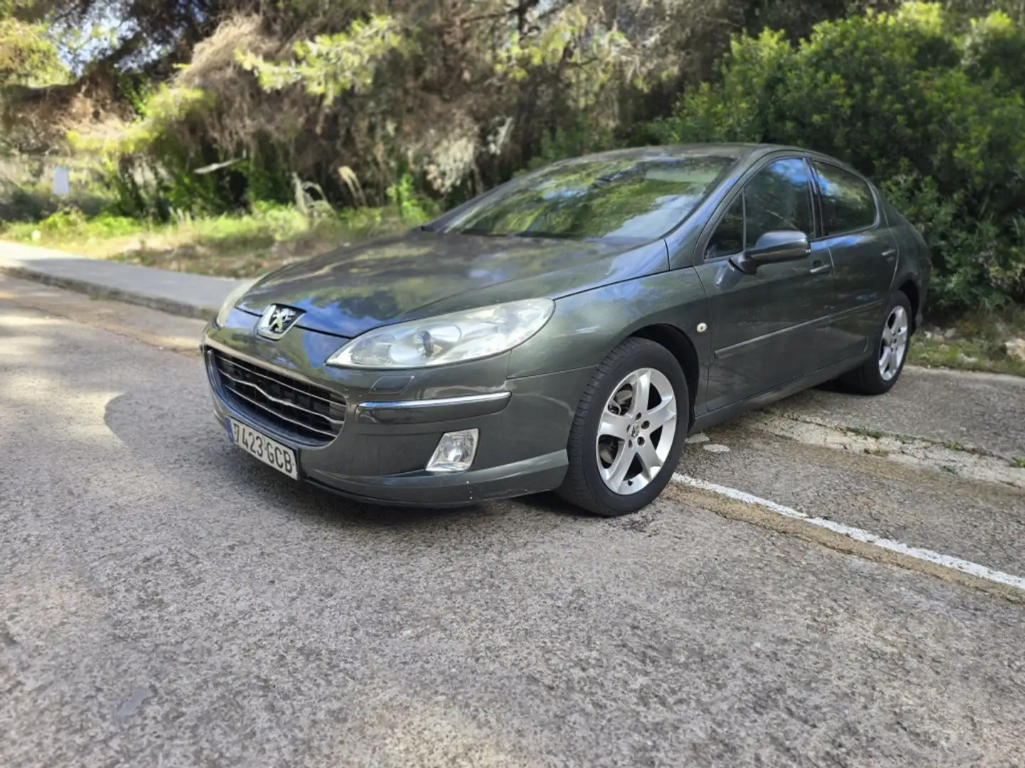 Peugeot 407 2.0HDI Premium Grün - 1