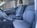 Volkswagen Golf VIII Life 1.5 TSI Winterpaket/NAV/SHZ KLIMA LED N Weiß - thumbnail 6