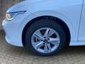 Volkswagen Golf VIII Life 1.5 TSI Winterpaket/NAV/SHZ KLIMA LED N Weiß - thumbnail 5