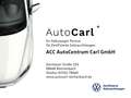 Volkswagen Golf VIII Life 1.5 TSI Winterpaket/NAV/SHZ KLIMA LED N Weiß - thumbnail 25