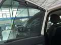 Renault Grand Scenic Business Edition AHK Navi Winter-Paket Weiß - thumbnail 19