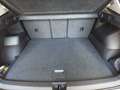 Volkswagen Tiguan Life TDI DSG Grau - thumbnail 14