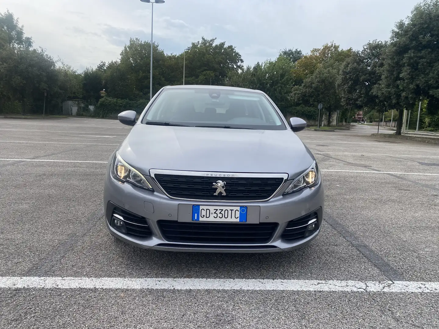 Peugeot 308 308 SW 1.5 bluehdi Active Business s Gris - 2