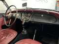 Triumph TR3 2.0 100 Schwarz - thumbnail 19