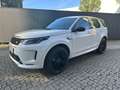 Land Rover Discovery Sport R-Dynamic P200 SE AWD Weiß - thumbnail 1