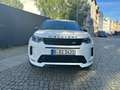 Land Rover Discovery Sport P200 R-Dynamic SE Weiß - thumbnail 2