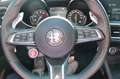 Alfa Romeo Stelvio Quadrifoglio Q4 Werksgara. bis 03-2026 Rot - thumbnail 7