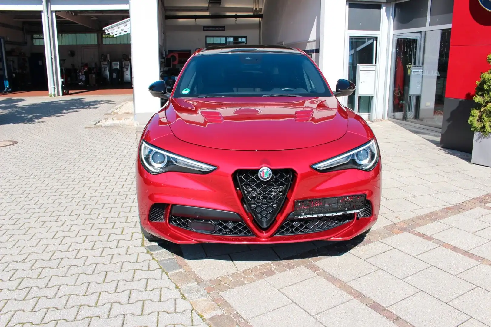 Alfa Romeo Stelvio Quadrifoglio Q4 Werksgara. bis 03-2026 Rot - 2